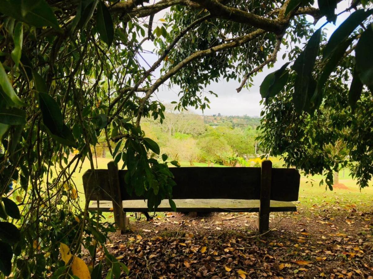 Pousada Sitio Da Terra E Arte São Roque Exteriér fotografie