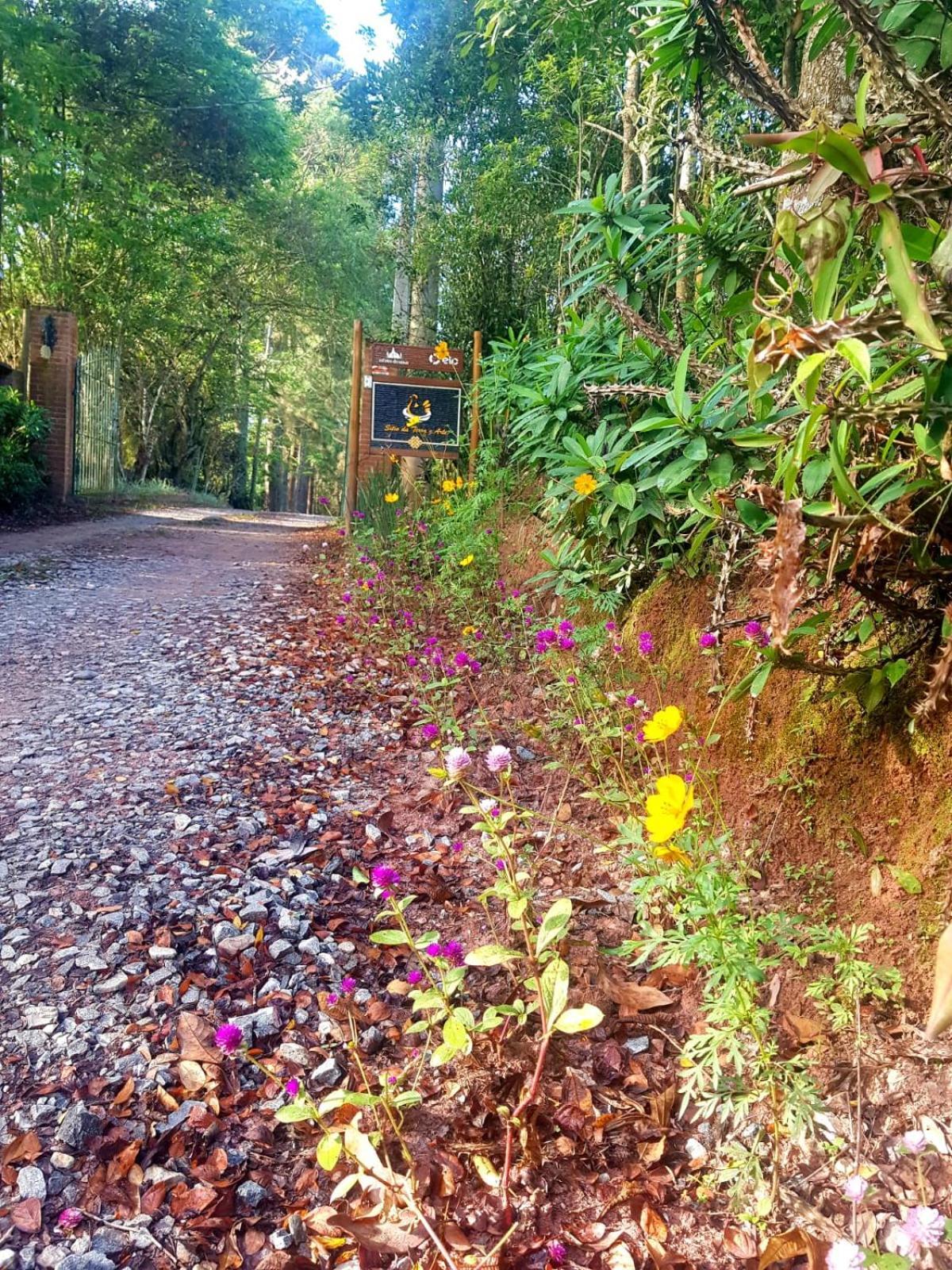 Pousada Sitio Da Terra E Arte São Roque Exteriér fotografie