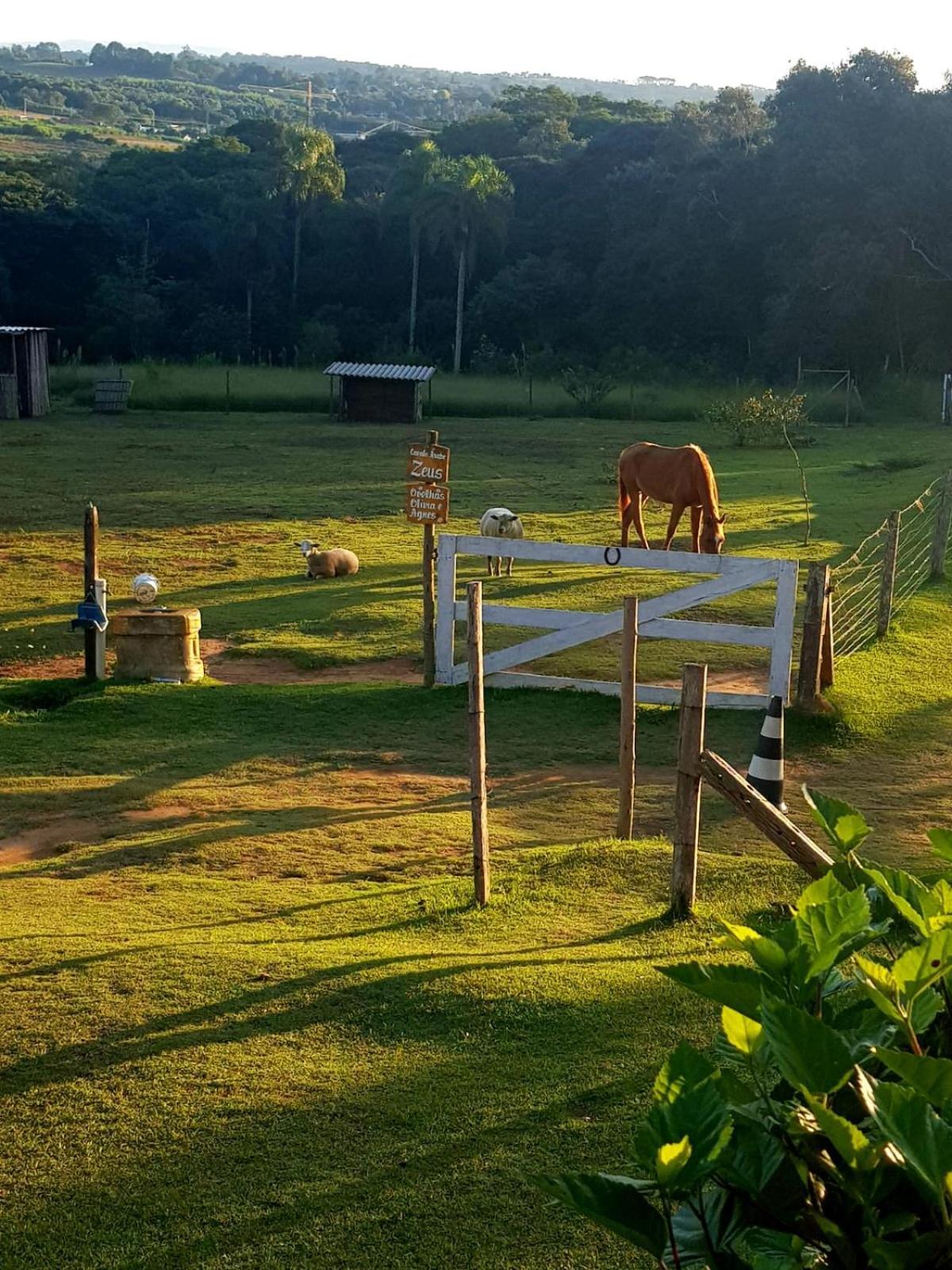 Pousada Sitio Da Terra E Arte São Roque Exteriér fotografie